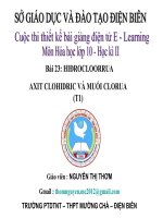 Slide hóa 10 bài 23 hidroclorua, axit clohidric và muối clorua _N.T thơm