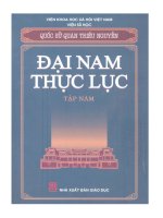 Ebook ĐẠI NAM THỰC LỤC - TẬP 5