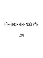 TỔNG HỢP HÌNH NGỮ VĂN 8