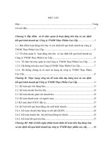 luận văn kế toán  Hoàn thiện công tác kế toán tiêu thụ hàng hoá và xác định kết quả kinh doanh tại Công ty TNHH Thực Phẩm Cao Cấp