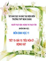 Slide sinh 11 bài 15 tiêu hóa ở động vật