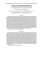 báo cáo khoa học Sử dụng cây cao lương trong chăn nuôi bò thịt Use of Sorghum