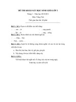 Đề thi khảo sát HSG Tiếng việt, tháng 1