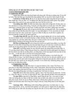 TỔNG QUAN về THỊ TRƯỜNG dược VIỆT NAM