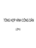 TỔNG HỢP HÌNH CÔNG DÂN 8