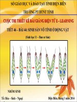Slide sinh 11 cb bài 44 sinh sản vô tính ở động vật