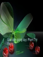 Toán 4: luyện tập chung