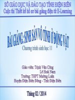 Slide sinh 11 sinh sản vô tính ở động vật _T.V Công ft L.H Nam