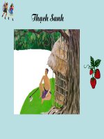 THẠCH SANH BÀI GIẢNG 2