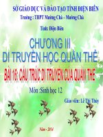 Slide sinh 12 bài 16 cấu trúc di truyền của quần thể _L.T Thủy