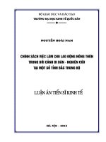 Chính sách việc làm cho lao động nông thôn trong bối cảnh di dân - Nghiên cứu tại một số tỉnh Bắc Trung bộ