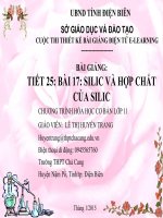 Slide hóa 11 CB bài 17 silic và hợp chất của silic _Gv L.T.H Trang