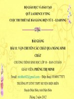 Slide sinh 10 cb bài 11 vận chuyển các chất qua MSC _Gv P.T Minh