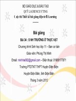 Slide sinh 11 CB bài 34 sinh trưởng ở thực vật