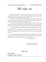 Vai trò của hội đồng nhân dân  xã, thị trấn về phát triển kinh tế - xã hội trong nền kinh tế thị trường theo định hướng xã hội chủ nghĩa