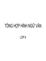 TỔNG HỢP HÌNH NGỮ VĂN 9