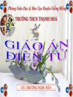 Bài 6: Định Dang Trang Tính