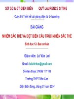 Slide sinh 12 nhiễm sắc thể và đột biến cấu trúc nhiễm sắc thể _L.V Lợi