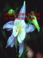 Bai Dự thi  giáo viên giỏi cấp thành phố