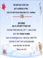 Slide sinh 11 ban Cb bài 12 hô hấp ở thực vật _Gv P.T Minh