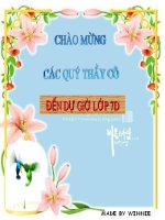 Ôn tập chương II và III lớp 7 Hình học