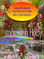 Slide sinh 8 bài 31 trao đổi chất _Gv L.V Chiều