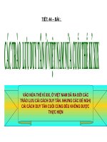 trào lưu cải cách duy tân ở việt Nam