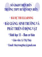 Slide sinh 11 sinh trưởng và phát triển ở động vật _L.T Thúy