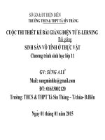 Slide sinh 11 sinh sản vô tính ở thực vật _S.A Lứ