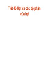 Tiết 40:Hạt và các bộ phận của hạt