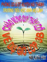 LTVC3:Đặt và TLCH Bằng gì? Dấu hai chấm(Tuần 30)