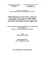 Determinants of Currency crises in Emerging economies in 1996-2005 An Early Warning System Approach