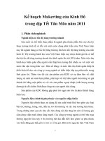 Kế hoạch Makerting của Kinh Đô trong dịp Tết Tân Mão năm 2011