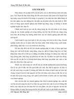 Kế toán nguyên vật liệu, công cụ dụng cụ tại công ty cổ phần Bê tông xây dựng Hà Nội