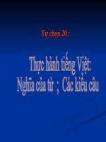 Thực hành tiếng Việt ( Ngữ văn 11)