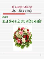HƯỚNG DẪN THỰC HIỆN CHƯƠNG TRÌNH, NỘÂI DUNG SÁCH GIÁO VIÊN HĐGDHN LỚP 10