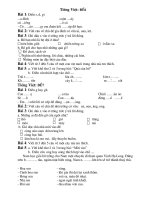 Đề ôn thi HSG lớp 1 - Plan THTL