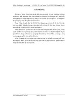 Đồ Án Tốt Nghiệp Kỹ Sư Xây Dựng Khóa 2007-2012 Thiết kê chung cư cao tầng Trung Đông Plaza, quận Tân Phú