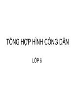 TỔNG HỢP HÌNH CÔNG DÂN 6