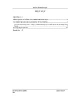 luận văn thạc sĩ kế toán  thực trạng tổ chức kế toán tại công ty TNHH thương mại và thiết bị bảo hộ lao động tùng phong