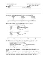 Ngan hang de tieng anh 6