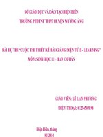 Slide sinh 11 cb sinh trưởng ở thực vật