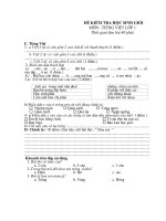 Đề thi HSG Tieng viet lớp 1