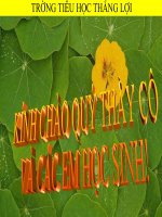 cay con moc len tu mot so bo phan cay me