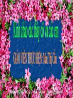 Tập làm văn lớp 4 ( tuan 30)