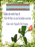 Slide sinh 6 hạt và các bộ phận của hạt
