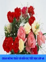 Bai 27, tiết137,Ôn tập phần Tiếng Việt9,ppt