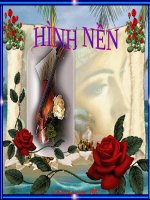 50 hình nền