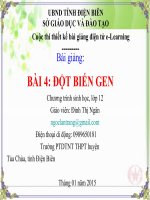 Slide sinh 12 bài 4 đột biến gen _Đ.T Ngân