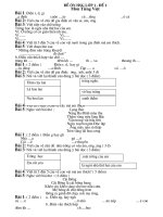 bộ đề ôn thi HSG lớp 1